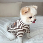 Small dog wearing a striped shirt sitting on a bed.