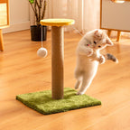 Sturdy Eco-Friendly Cat Scratching Column