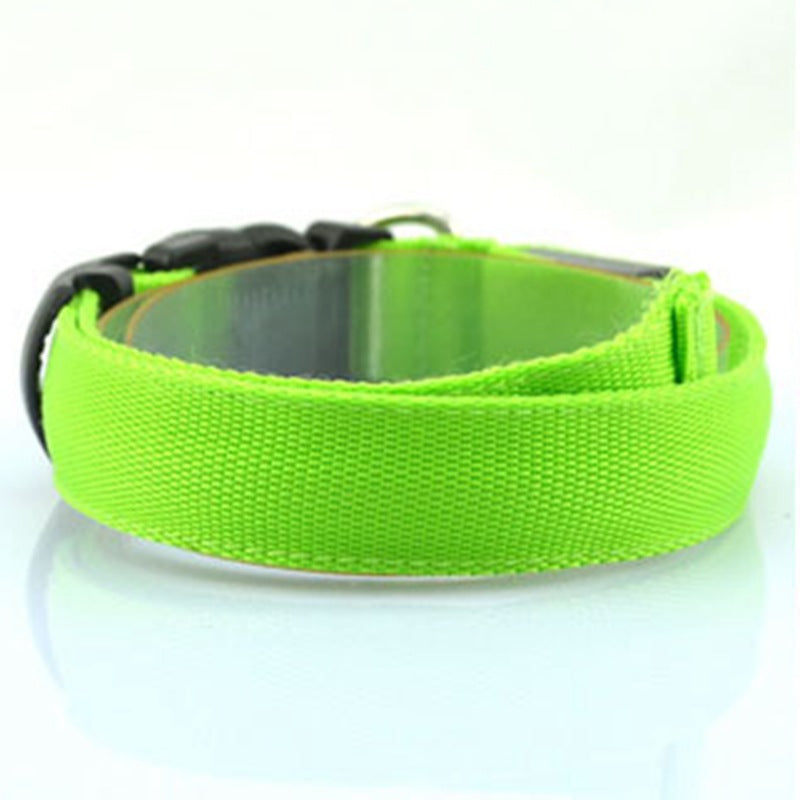 Glowing Nighttime Dog Collar