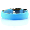 Glowing Nighttime Dog Collar