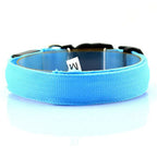 Glowing Nighttime Dog Collar