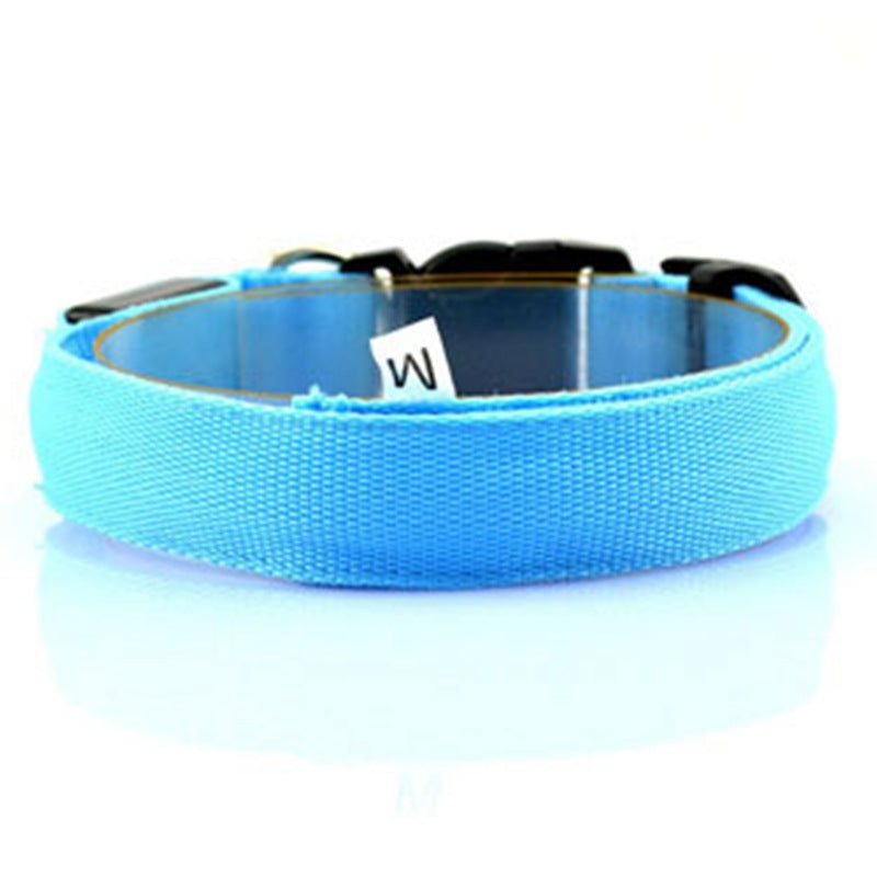 Glowing Nighttime Dog Collar