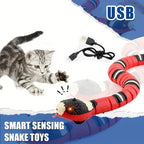USB Rechargeable Cat Snake Toy - Active Fun