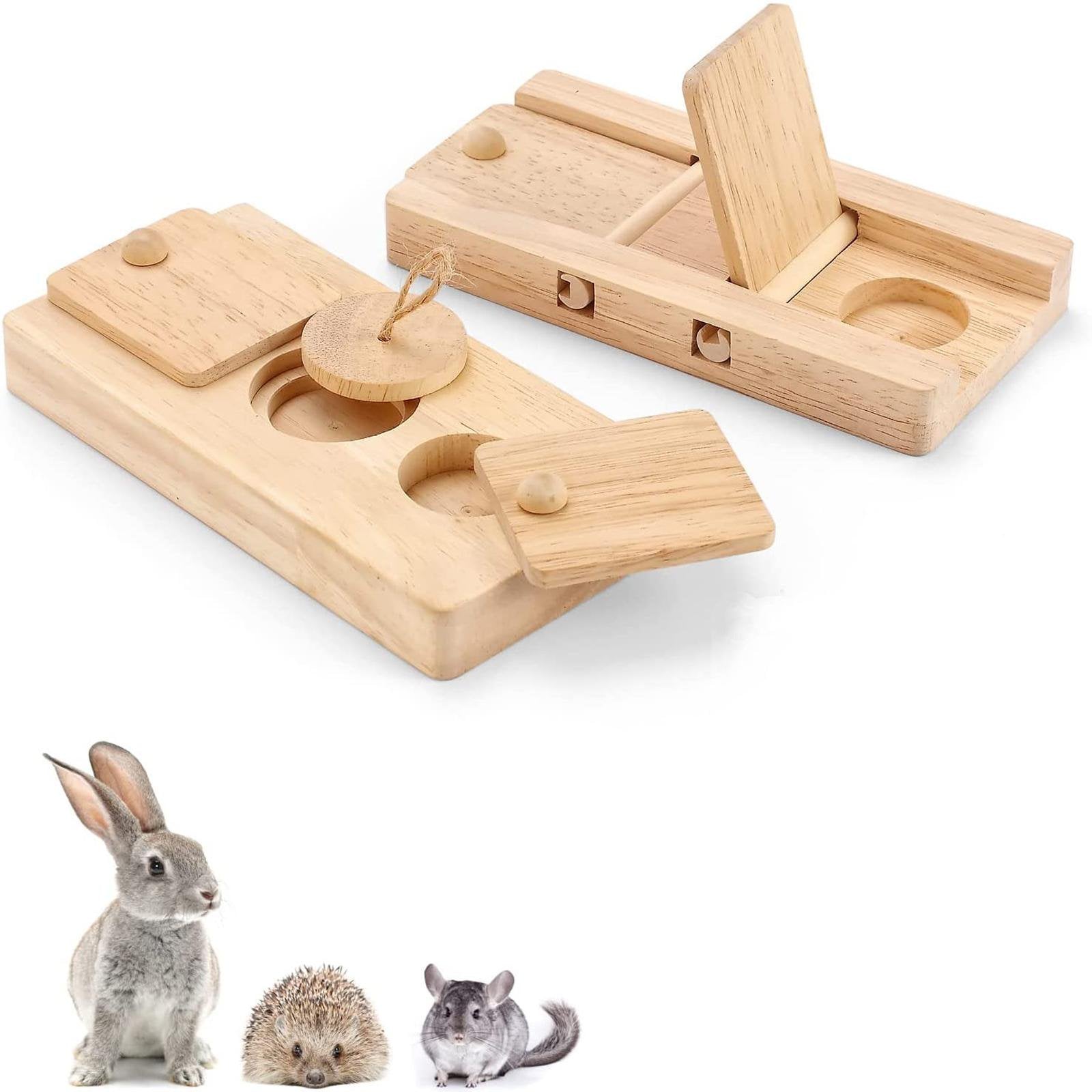 Forage Box Small Pet Enrichment Set