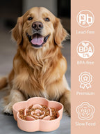 PacePup Ceramic Slow Feeder Bowl