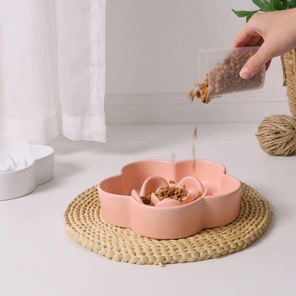 PacePup Ceramic Slow Feeder Bowl