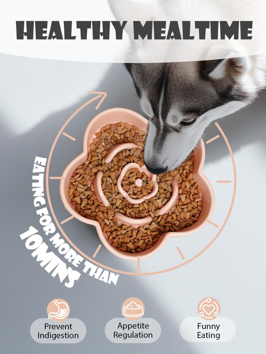 PacePup Ceramic Slow Feeder Bowl