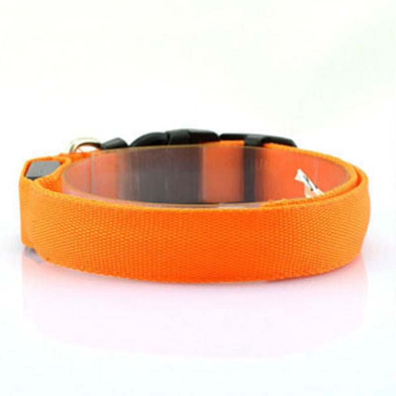 Glowing Nighttime Dog Collar