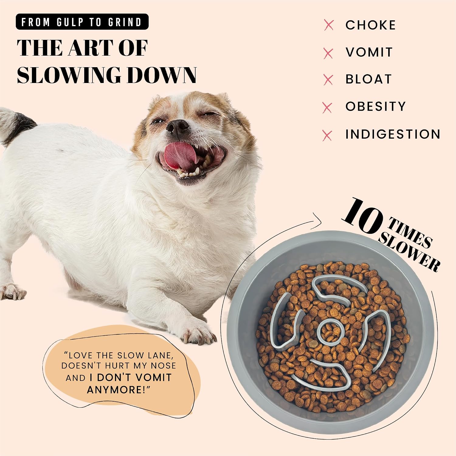 PacePup Slow Feeder Dog Bowl