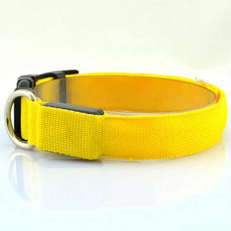 Glowing Nighttime Dog Collar