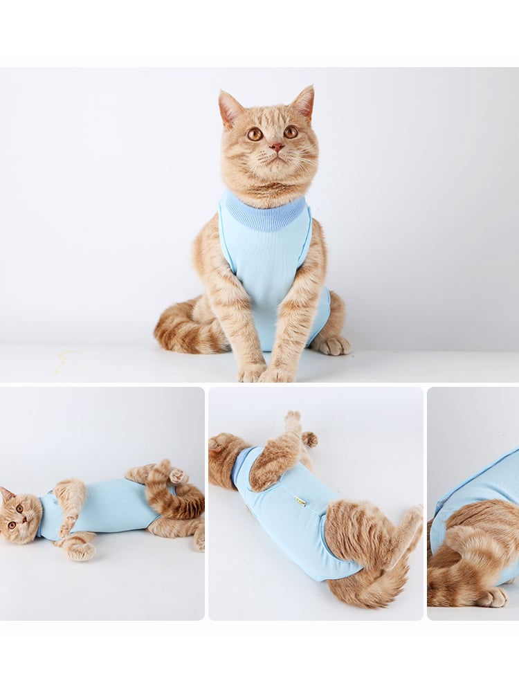 Weaning Clothes for Female Cats Post-Surgery