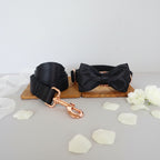 Formal Bowtie Dog Leash