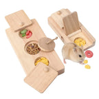 Forage Box Small Pet Enrichment Set