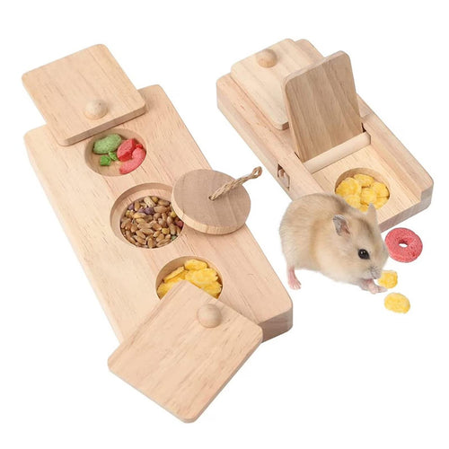 Forage Box Small Pet Enrichment Set