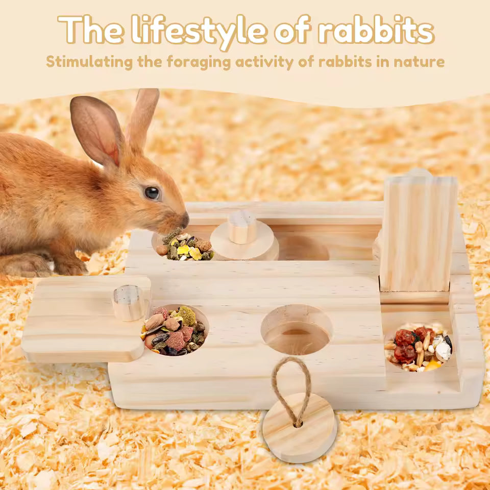 HuntBox Puzzle Feeder for Reptiles & Small Pets