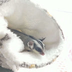 Super Soft Plush Warm Tunnel Nest