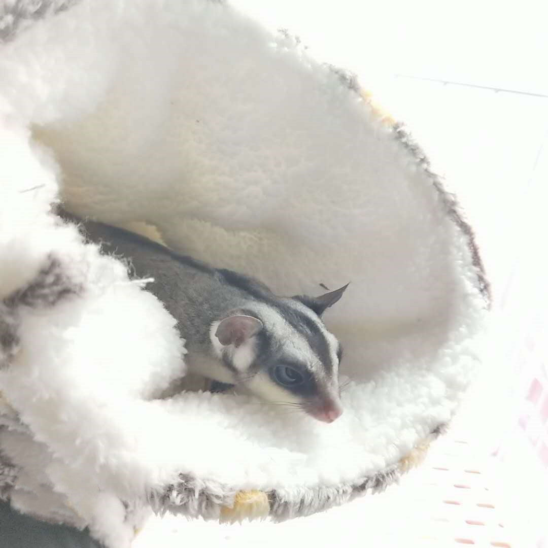 Super Soft Plush Warm Tunnel Nest