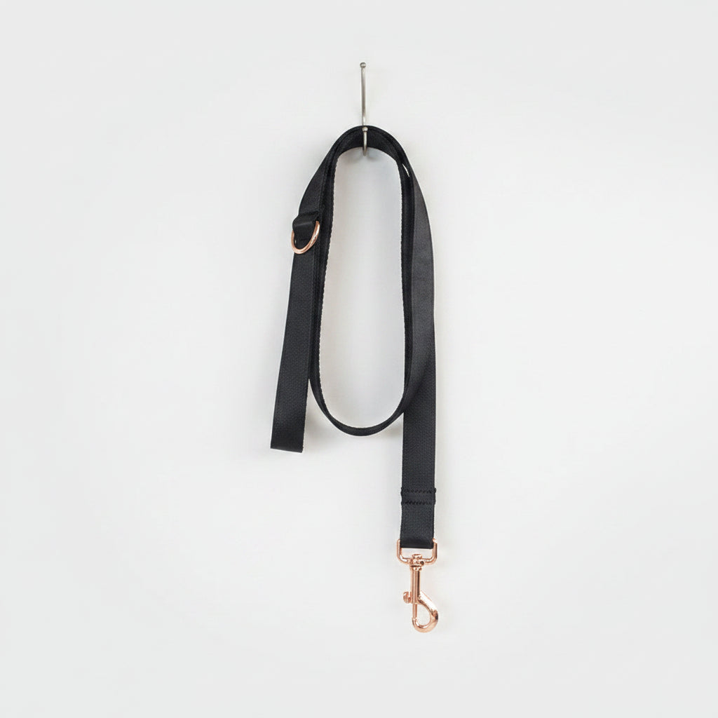 Formal Bowtie Dog Leash
