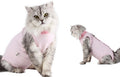 Weaning Clothes for Female Cats Post-Surgery