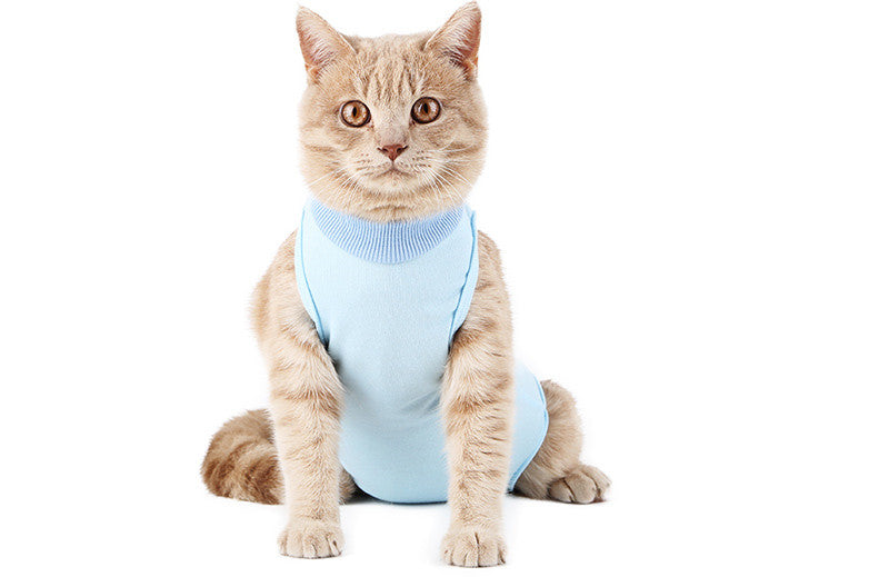 Weaning Clothes for Female Cats Post-Surgery