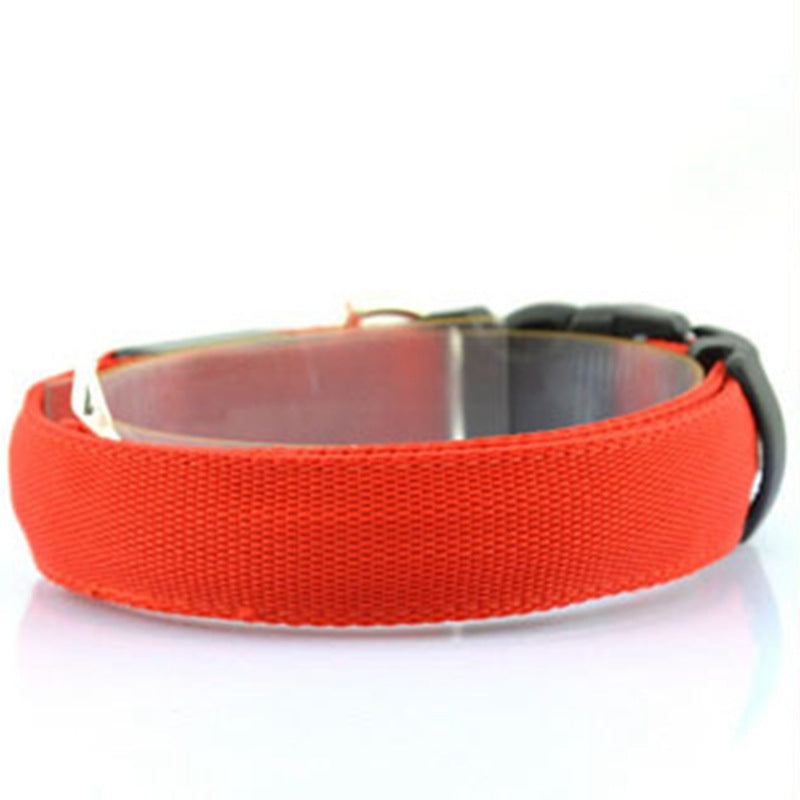 Glowing Nighttime Dog Collar