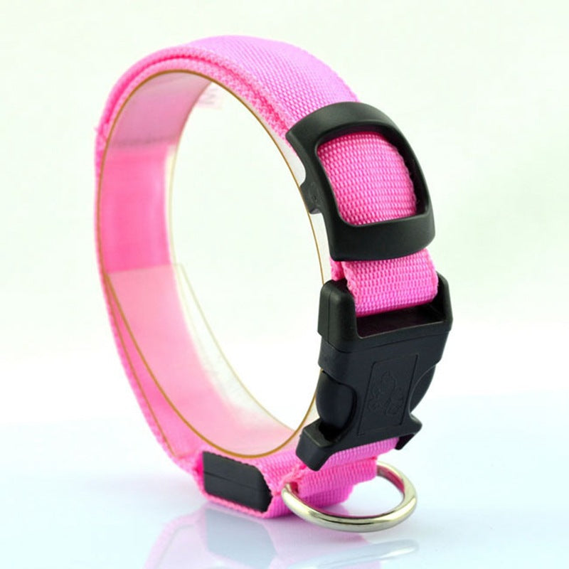 Glowing Nighttime Dog Collar