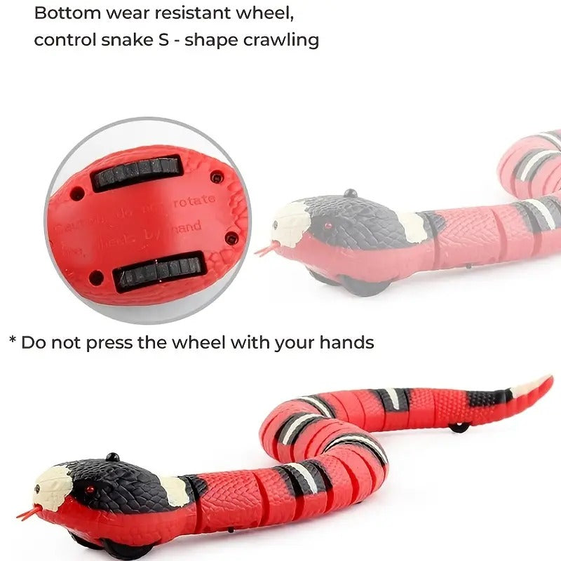 USB Rechargeable Cat Snake Toy - Active Fun