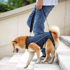 LiftEase Full-Body Support Harness