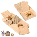 Forage Box Small Pet Enrichment Set