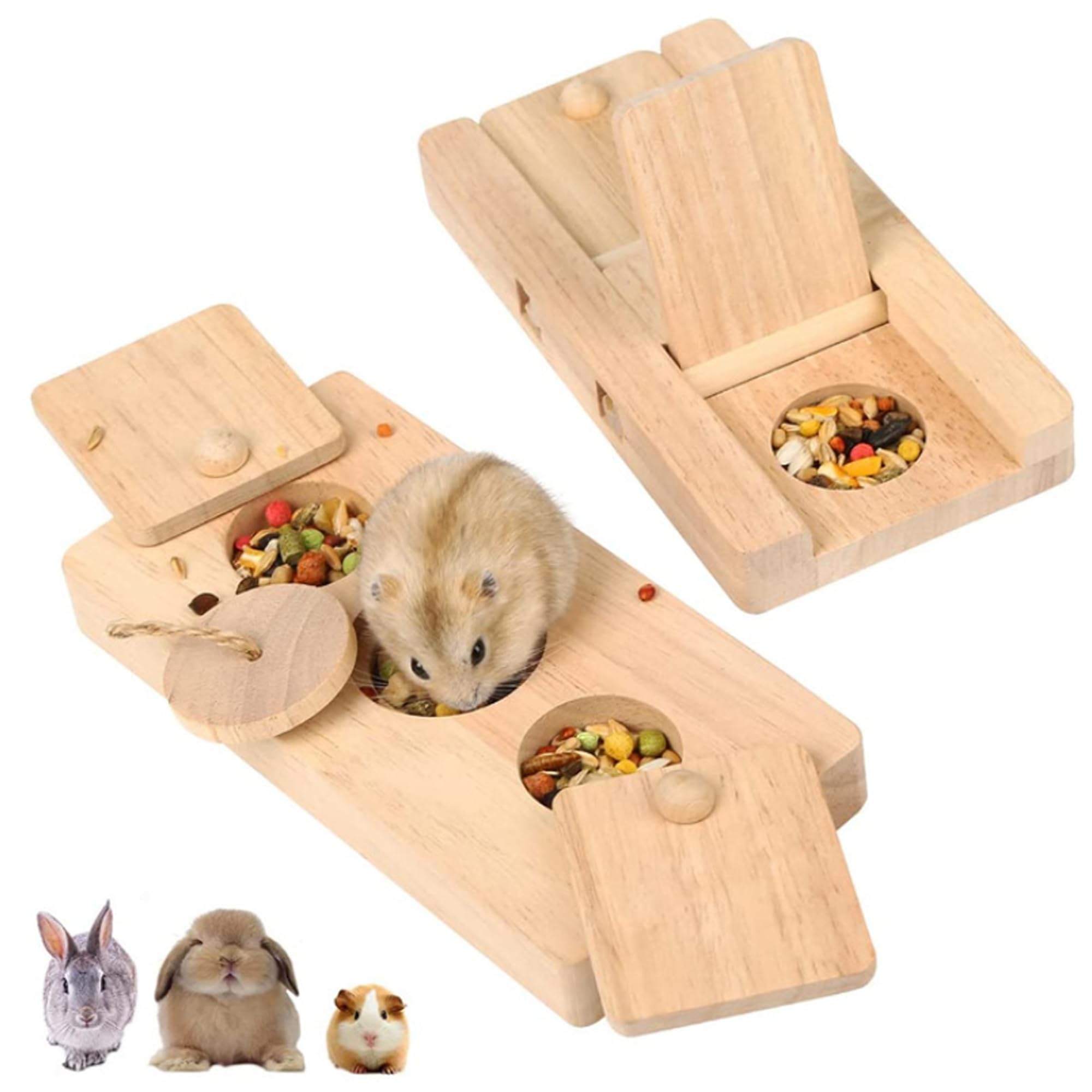 Forage Box Small Pet Enrichment Set